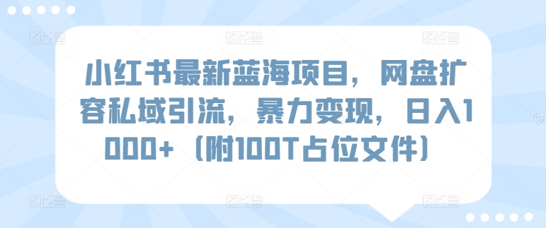 小红书最新蓝海项目，网盘扩容私域引流，暴力变现，日入1000+（附100T占位文件）-沐羽项目网