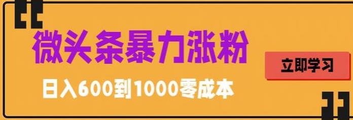 微头条暴力涨粉技巧搬运文案就能涨几万粉丝，简单0成本，日赚600-沐羽项目网