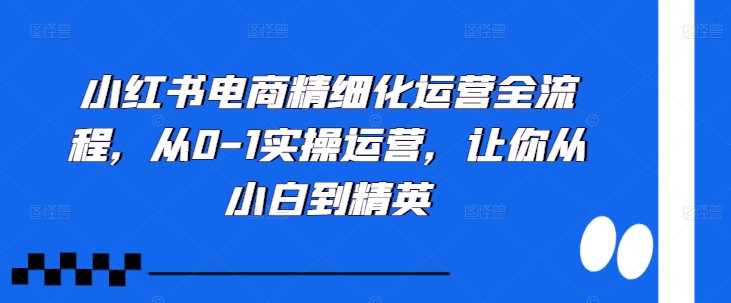 小红书电商精细化运营全流程，从0-1实操运营，让你从小白到精英-沐羽项目网