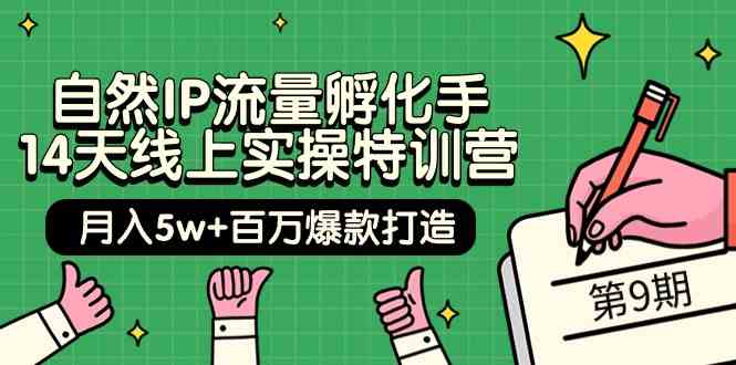 （9881期）自然IP流量孵化手 14天线上实操特训营【第9期】月入5w+百万爆款打造 (74节)-沐羽项目网
