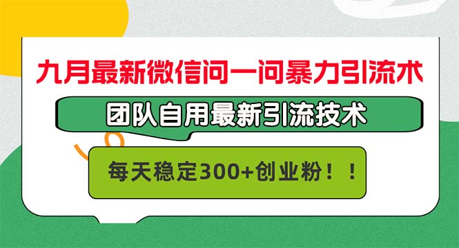 九月最新微信问一问暴力引流术，团队自用引流术，每天稳定300+创…-沐羽项目网