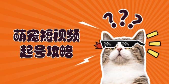 萌宠短视频起号攻略：定位搭建推流全解析，助力新手轻松打造爆款-沐羽项目网