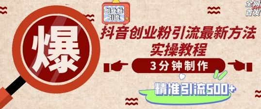 轻松制作创业类视频，一天被动加精准创业粉500+【揭秘】-沐羽项目网