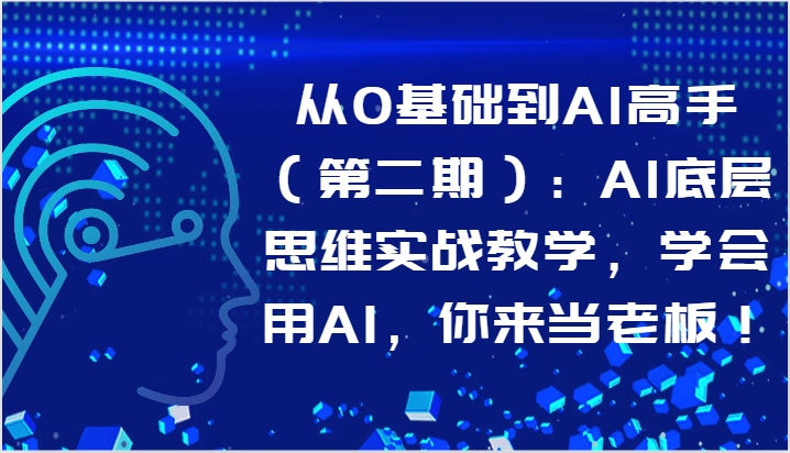 从0基础到AI高手（第二期）：AI底层思维实战教学，学会用AI，你来当老板！-沐羽项目网