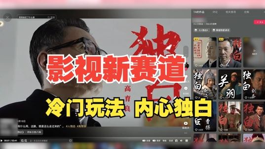最新影视解说玩法，人物独白，30天涨粉24万+，全流程拆解【揭秘】-沐羽项目网