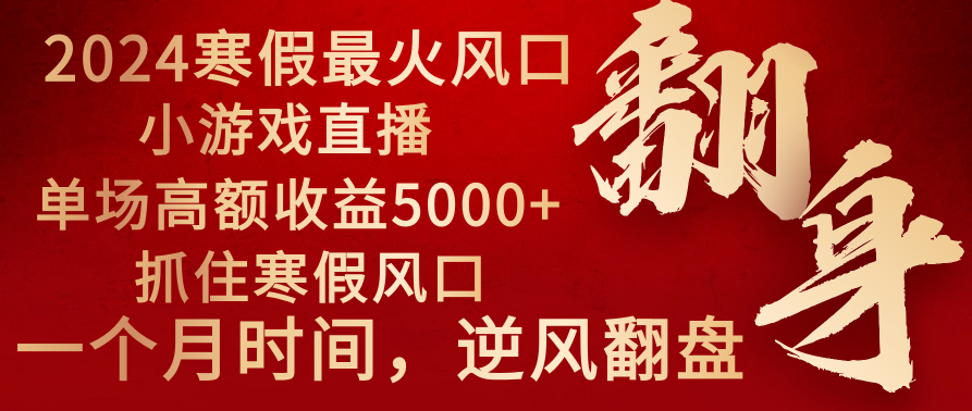 2024年最火寒假风口项目 小游戏直播 单场收益5000+抓住风口 一个月直接提车-沐羽项目网