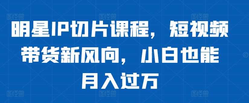 明星IP切片课程，短视频带货新风向，小白也能月入过万-沐羽项目网