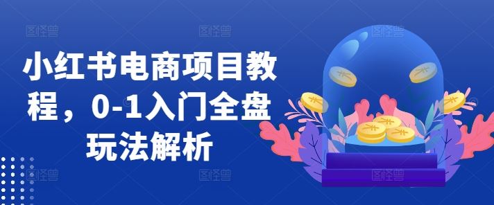 小红书电商项目教程，0-1入门全盘玩法解析-沐羽项目网