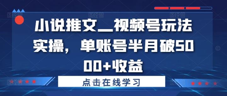 小说推文—视频号玩法实操，单账号半月破5000+收益-沐羽项目网