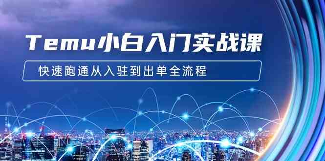 （9295期）Temu小白入门实战课：跨境拼多多电商培训 快速跑通从入驻到出单全流程-12节-沐羽项目网