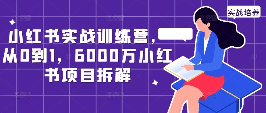 小红书实战训练营，从0到1，6000万小红书项目拆解-沐羽项目网