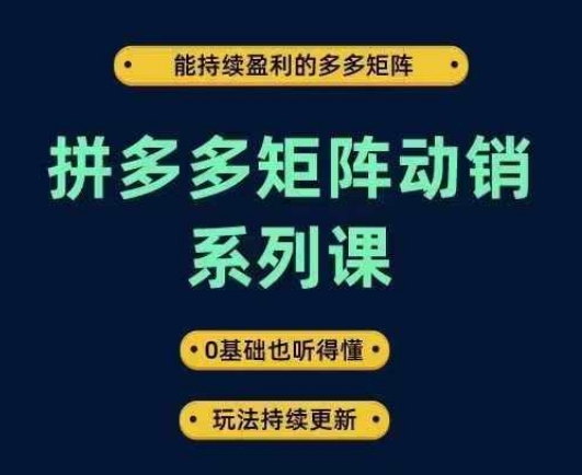 拼多多矩阵动销系列课，能持续盈利的多多矩阵，0基础也听得懂，玩法持续更新-沐羽项目网