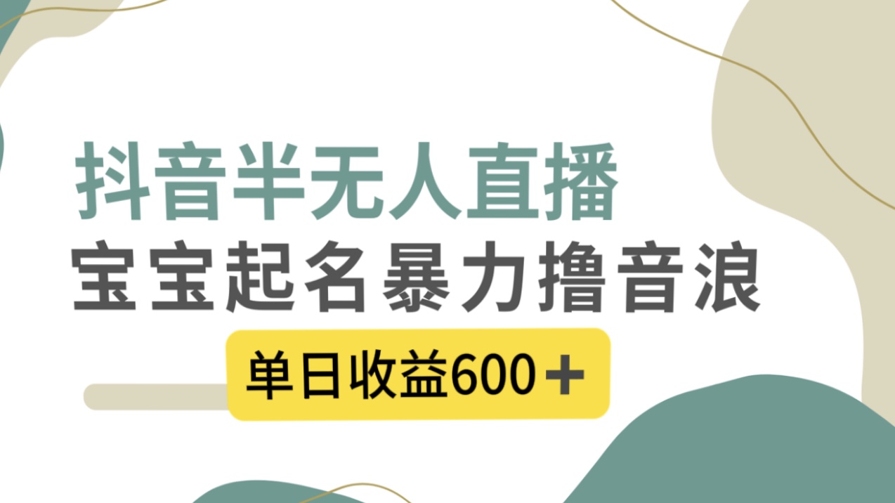 抖音半无人直播，宝宝起名，暴力撸音浪，单日收益600+-沐羽项目网