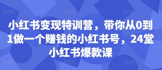 小红书变现特训营，带你从0到1做一个赚钱的小红书号，24堂小红书爆款课-沐羽项目网