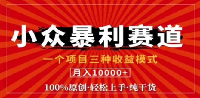 视频号最新爆火赛道，三种可收益模式，0粉新号条条原创条条热门 日入1000+-沐羽项目网