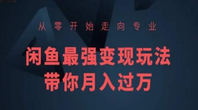 从零开始走向专业，闲鱼最强变现玩法带你月入过万-沐羽项目网