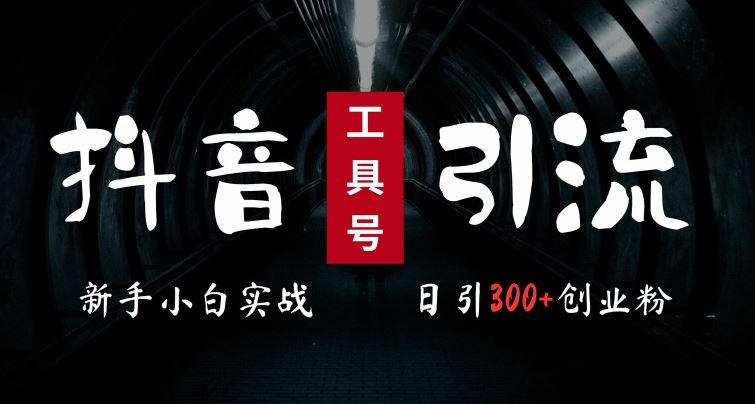 2024最新抖音工具号引流玩法，高效日引300+创业粉，当天变现5k，小白也可成为实战高手-沐羽项目网
