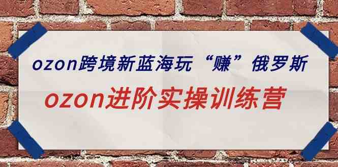 （9800期）ozon跨境新蓝海玩“赚”俄罗斯，ozon进阶实操训练营-沐羽项目网