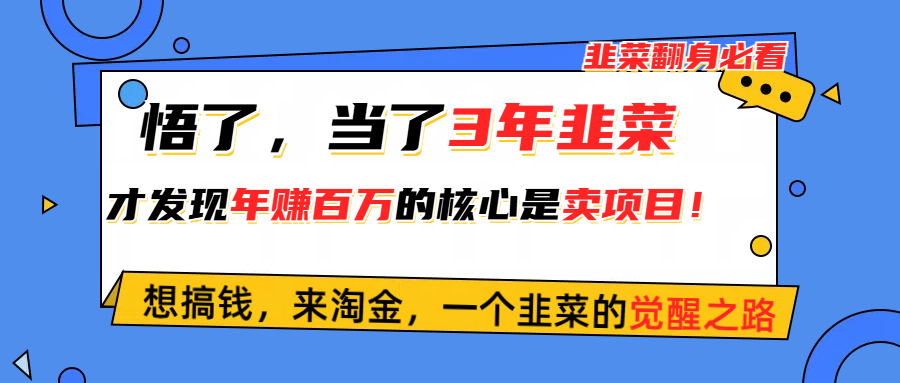 （10759期）悟了，当了3年韭菜，才发现网赚圈年赚100万的核心是卖项目，含泪分享！-沐羽项目网