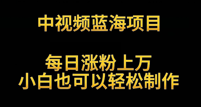中视频蓝海项目，解读英雄人物生平，每日涨粉上万，小白也可以轻松制作，月入过万不是梦-沐羽项目网