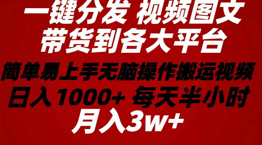 （10667期）2024年 一键分发带货图文视频  简单易上手 无脑赚收益 每天半小时日入1…-沐羽项目网