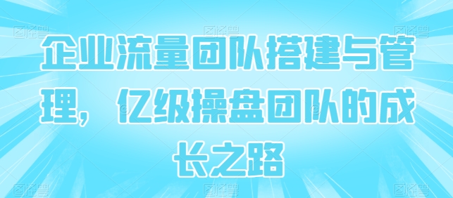 企业流量团队搭建与管理，亿级操盘团队的成长之路-沐羽项目网