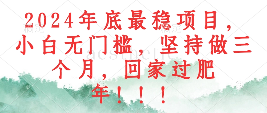 （12970期）2024年底最稳项目，小白无门槛，坚持做三个月，回家过肥年！！！-沐羽项目网