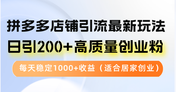 （12893期）拼多多店铺引流最新玩法，日引200+高质量创业粉，每天稳定1000+收益（…-沐羽项目网
