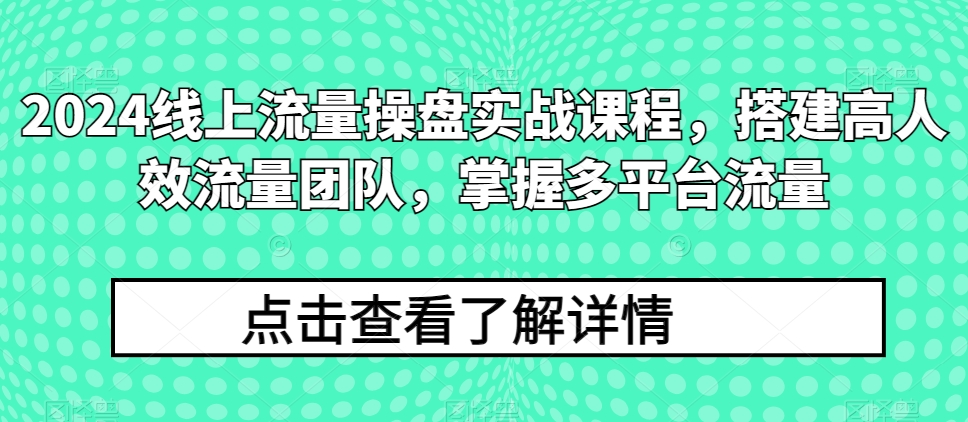 2024线上流量操盘实战课程，搭建高人效流量团队，掌握多平台流量-沐羽项目网
