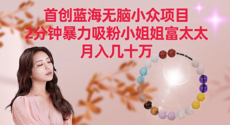 首创蓝海无脑小众项目，2分钟暴力吸粉小姐姐富太太，月入几十万-沐羽项目网