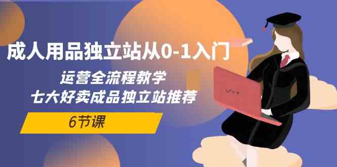 （10082期）成人用品独立站从0-1入门，运营全流程教学，七大好卖成品独立站推荐-6节课-沐羽项目网