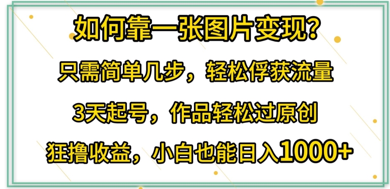 如何靠一张图片变现?只需简单几步，轻松俘获流量，3天起号，作品轻松过原创-沐羽项目网