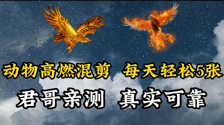 动物超燃混剪，每天轻松5张，剪辑简单大家爱看-沐羽项目网
