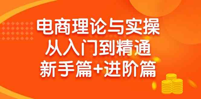 （9576期）电商理论与实操从入门到精通 新手篇+进阶篇-沐羽项目网