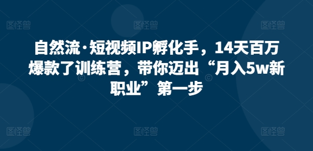 自然流·短视频IP孵化手，14天百万爆款了训练营，带你迈出“月入5w新职业”第一步-沐羽项目网