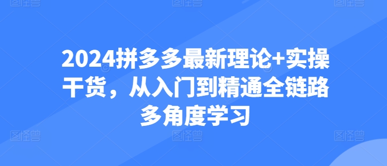 2024拼多多最新理论+实操干货，从入门到精通全链路多角度学习-沐羽项目网