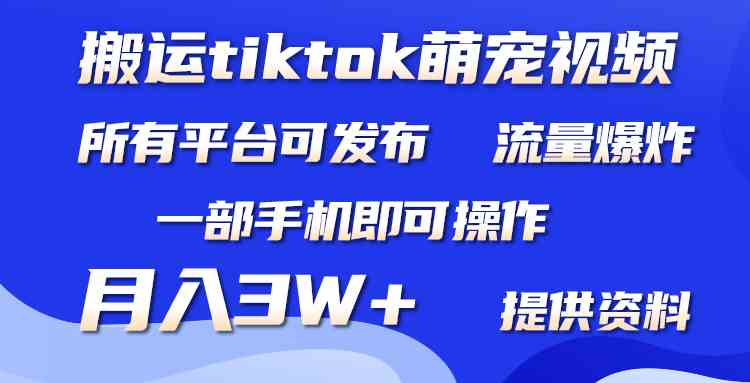 （9618期）搬运Tiktok萌宠类视频，一部手机即可。所有短视频平台均可操作，月入3W+-沐羽项目网