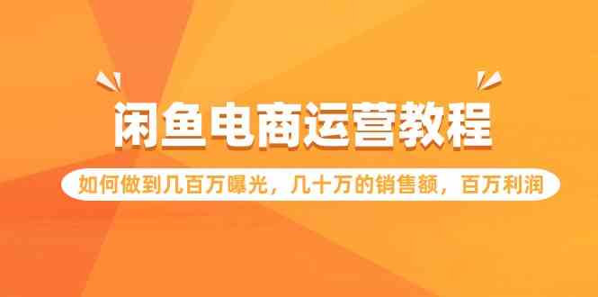 （9560期）闲鱼电商运营教程：如何做到几百万曝光，几十万的销售额，百万利润-沐羽项目网