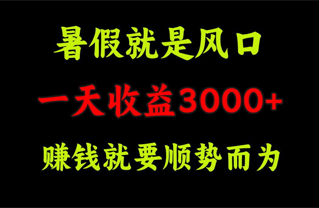 一天收益3000+ 赚钱就是顺势而为，暑假就是风口-沐羽项目网