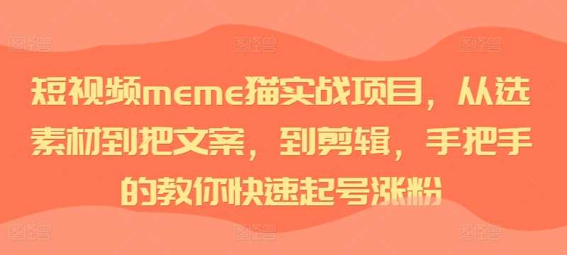 短视频meme猫实战项目，从选素材到把文案，到剪辑，手把手的教你快速起号涨粉-沐羽项目网