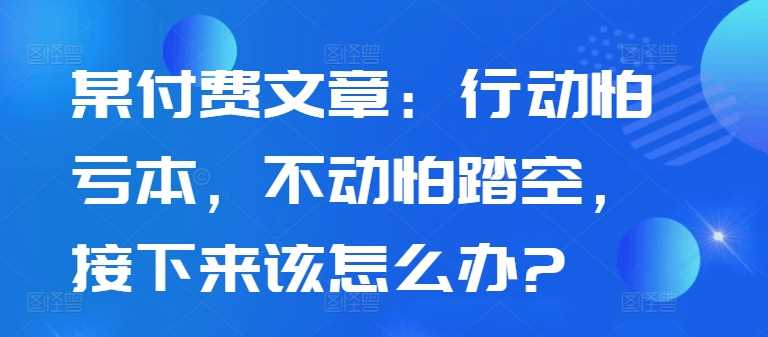 某付费文章：行动怕亏本，不动怕踏空，接下来该怎么办?-沐羽项目网