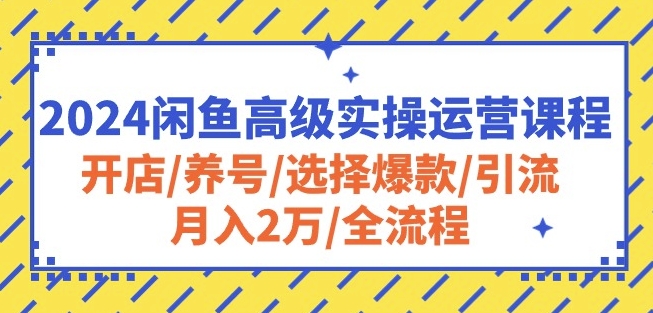 2024闲鱼高级实操运营课程：开店/养号/选择爆款/引流/月入2万/全流程-沐羽项目网