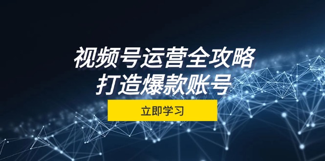 （12912期）视频号运营全攻略，从定位到成交一站式学习，视频号核心秘诀，打造爆款…-沐羽项目网
