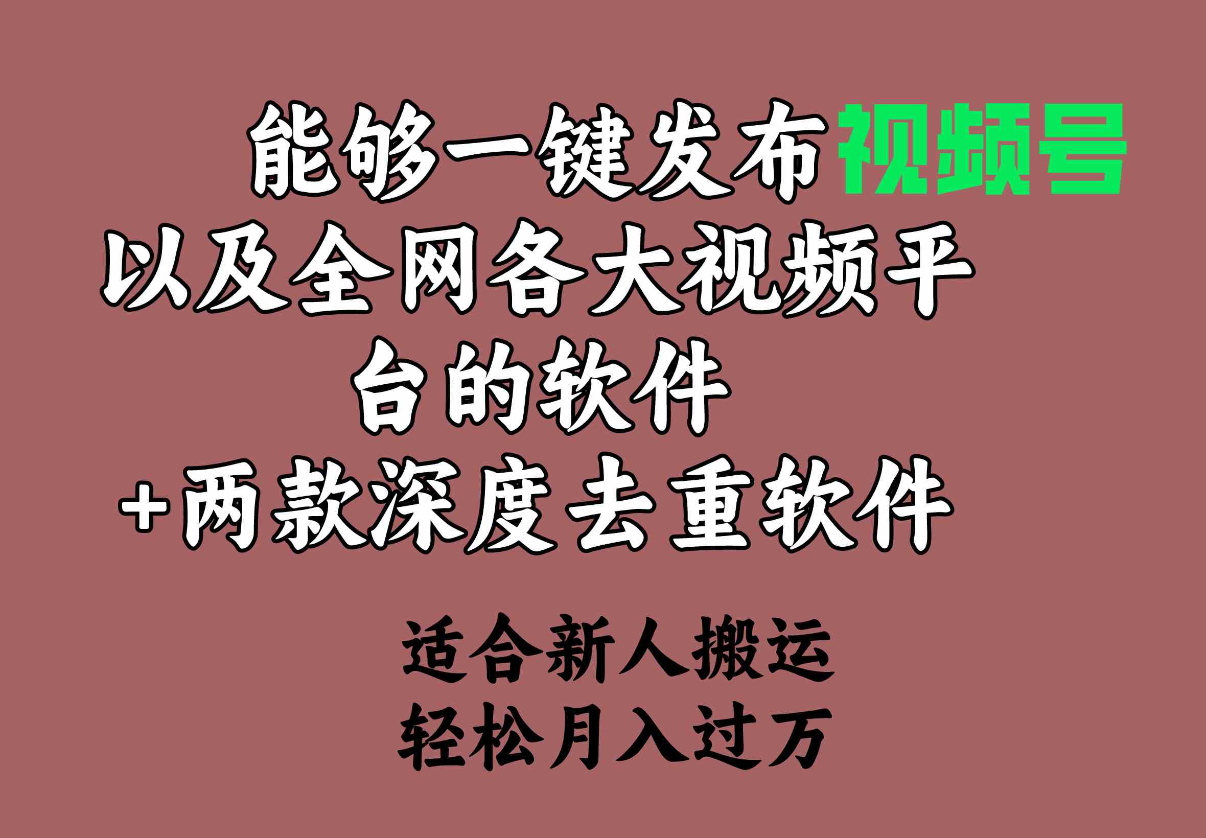 （9319期）能够一键发布视频号以及全网各大视频平台的软件+两款深度去重软件 适合…-沐羽项目网