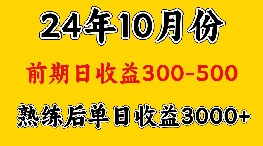 高手是怎么赚钱的.前期日收益500+熟练后日收益3000左右-沐羽项目网