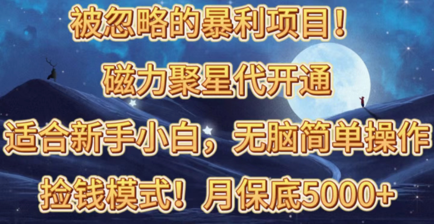 （10245期）被忽略的暴利项目！磁力聚星代开通捡钱模式，轻松月入五六千-沐羽项目网