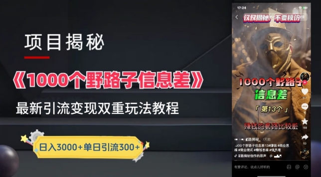 一千个野路子信息差最新玩法教程-变现+引流的玩法具体拆解-沐羽项目网