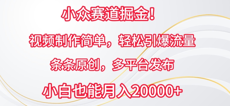 小众赛道掘金，视频制作简单，轻松引爆流量，条条原创，多平台发布-沐羽项目网