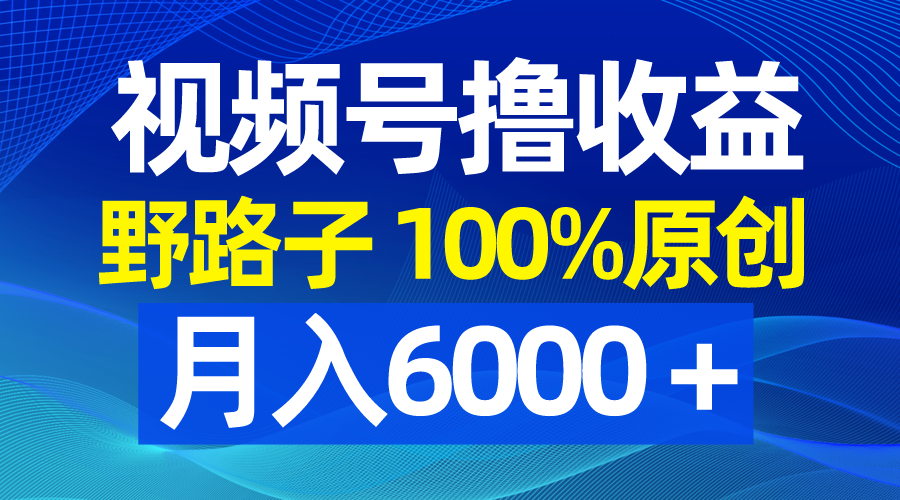 视频号野路子撸收益，100%原创，条条爆款，月入6000＋-沐羽项目网