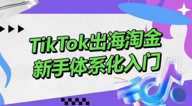 TikTok出海淘金，新手体系化入门，零基础快速入门，掌握短视频、直播带货等引流到变现的知识-沐羽项目网